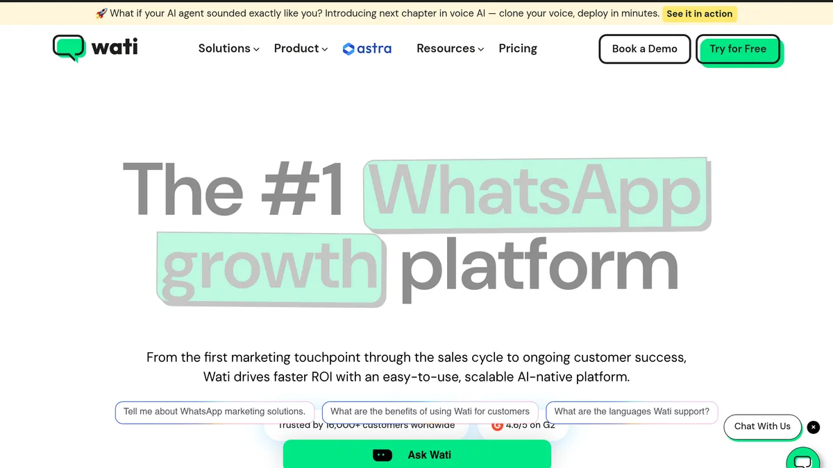 Wati WhatsApp team inbox
